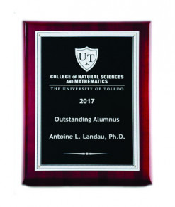 Plaques